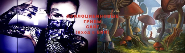 стафф Баксан