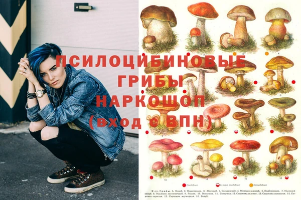 МДПВ Балахна